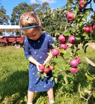 A Day at Thunderbird